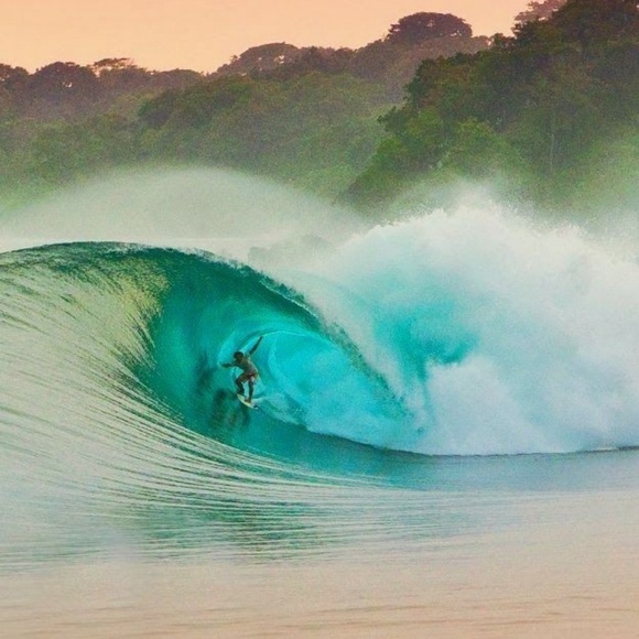 Meet your Posher, Candice - Picture 4 of 8